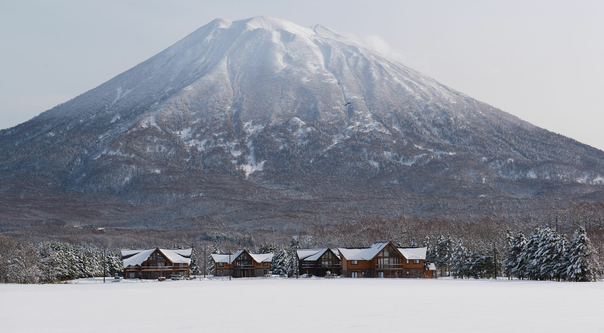 The Orchards Niseko Villa Bagian luar foto